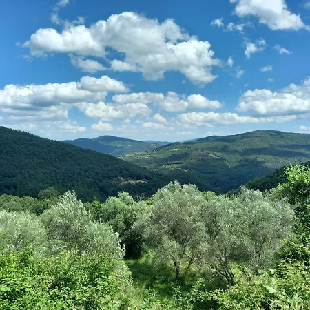 Lägenhet Valle Dame *