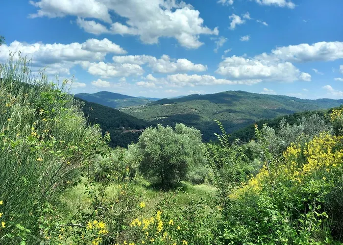 Διαμέρισμα Valle Dame Κορτόνα