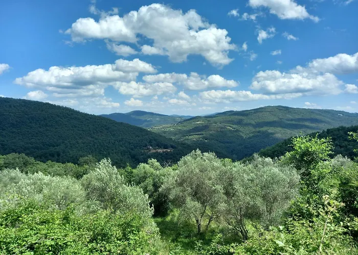 Appartement Valle Dame *