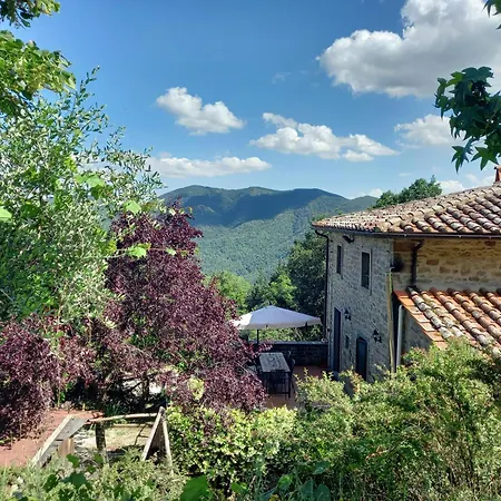 Valle Dame Apartamento